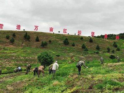 【媒体关注】龙江森工:苇河 构建前沿堡垒 守护绿水青山