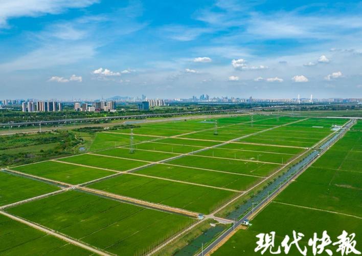 南京浦口科技赋能打造农业现代化新模式